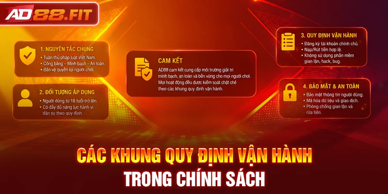 Các khung quy định vận hành trong chính sách