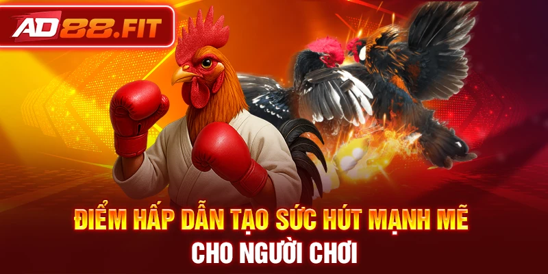 Điểm hấp dẫn tạo sức hút mạnh mẽ cho người chơi
