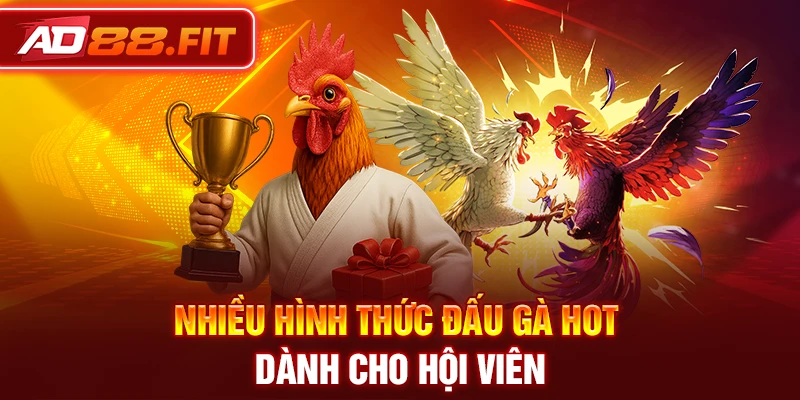 Nhiều hình thức đấu gà hot dành cho hội viên